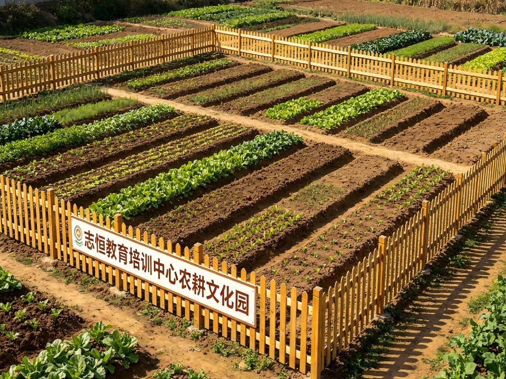 丽水正规全封闭管教学校具体位置与择校指南
